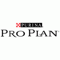 Pro Plan