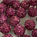 Bling-korvakorut, fuksia