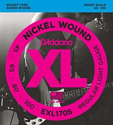 Daddario EXL170S    Nickel Wound   45-100  Short scale
