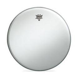 Remo: Ambassador 12