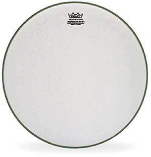 Remo: Ambassador 22