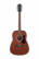 Ibanez JamPack V54NJP OPN gitarrpaket