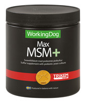 Trikem Max MSM 450g