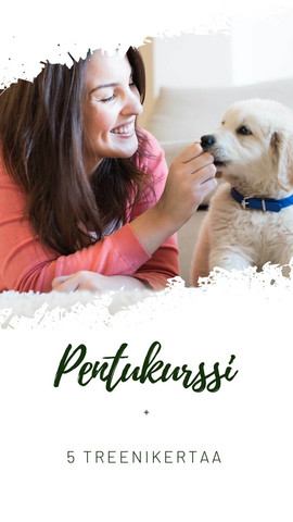Pentukurssi