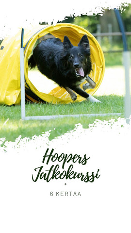 Hoopers jatkokurssi