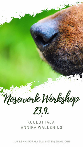 Nosework Workshop 23.9.