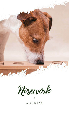 Nosework