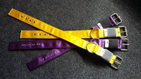 ViVa Safety 3-kertainen