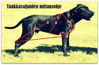Taakanvetovaljaat mittatilauksena