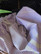 Hamam-pyyhe Aegean Lila 180 x 100, 100%puuvillaa