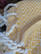CRYSTAL Hammam Towel Mustard Hand-loomed