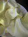 Hamam-pyyhe Aegean Sitruuna 180 x 100, 100%puuvillaa