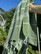Hammam Towel  Sultan Premium Khaki Green