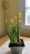 Sydän Kukkatikku Diy-paketti