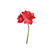 Finnmari - Amaryllis, punainen 67 cm