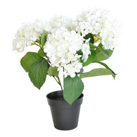 Finnmari - Hortensia ruukku, valkoinen
