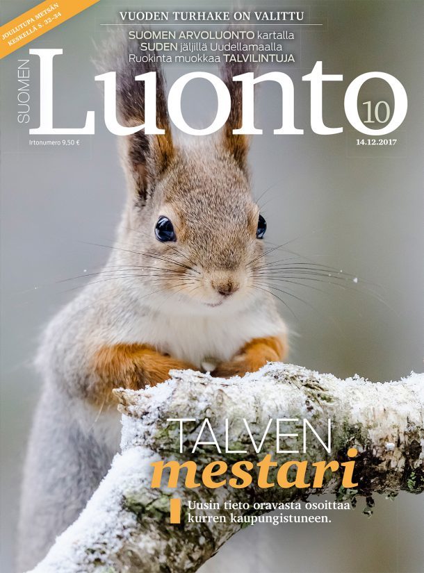 Suomen Luonto 10/2017 – Luontokauppa