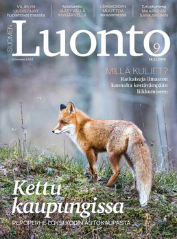 Suomen Luonto -irtonumerot – Luontokauppa