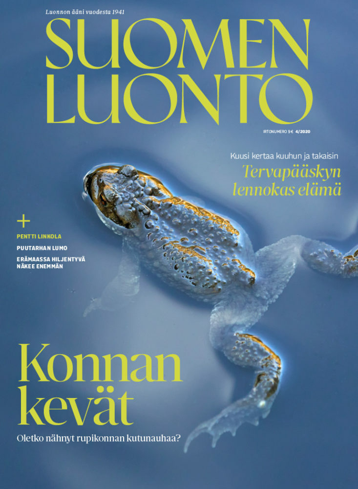 Suomen Luonto 4/2020 – Luontokauppa