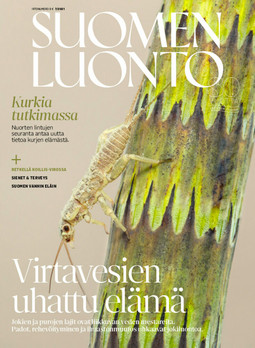 Suomen Luonto -irtonumerot – Luontokauppa