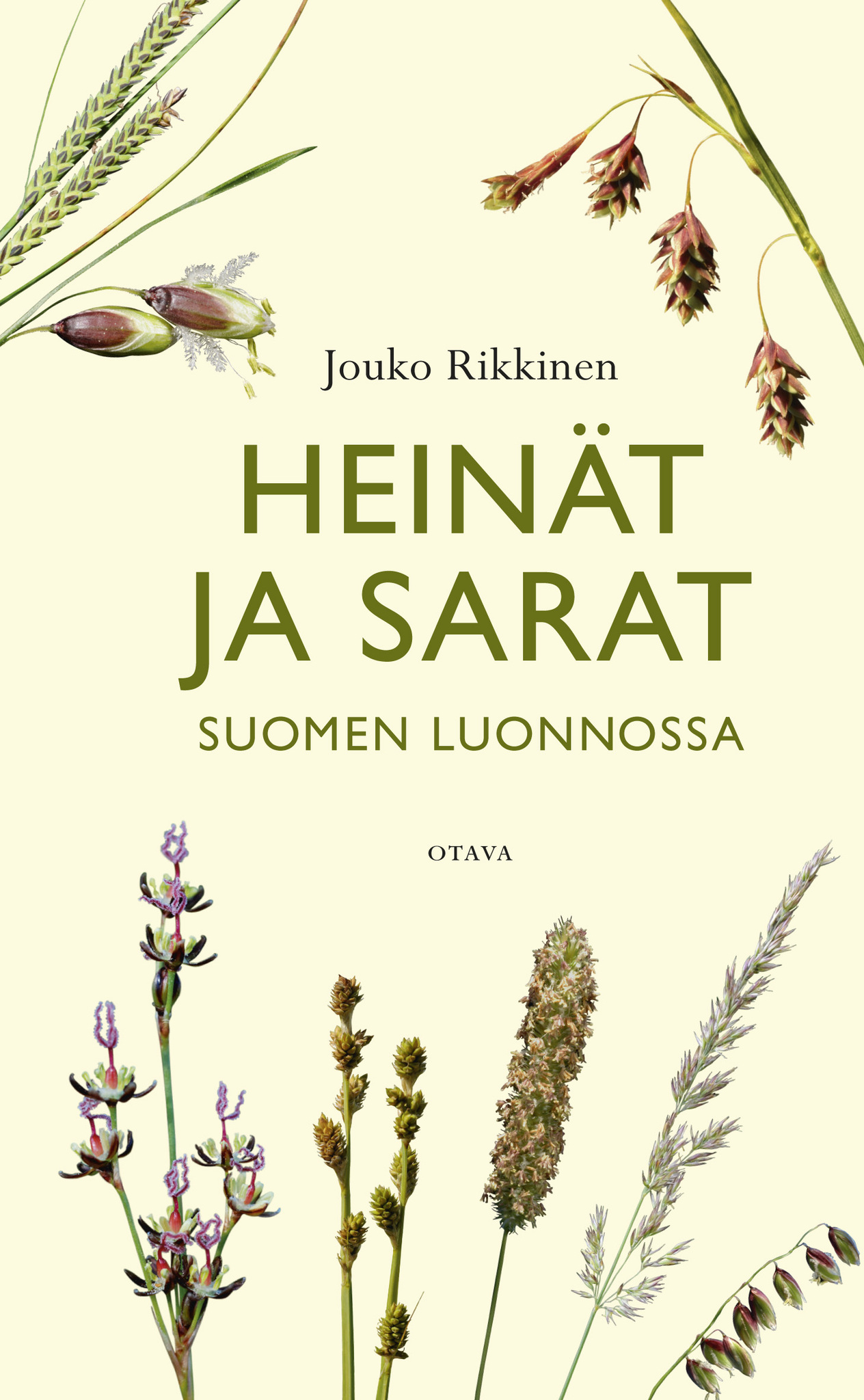 Heinät ja sarat Suomen luonnossa – Luontokauppa