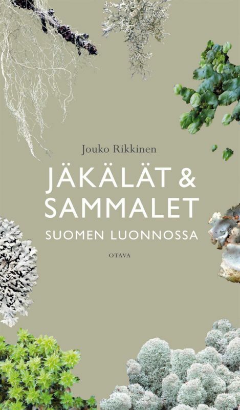 Jäkälät ja sammalet Suomen luonnossa – Luontokauppa