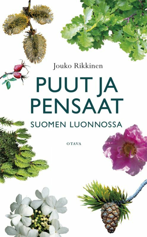 Puut ja pensaat Suomen luonnossa – Luontokauppa