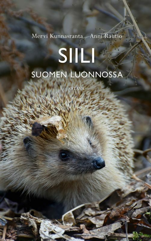 Siili Suomen luonnossa – Luontokauppa