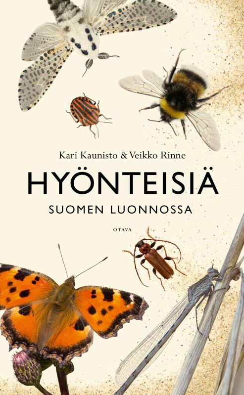 Hyönteisiä Suomen luonnossa – Luontokauppa