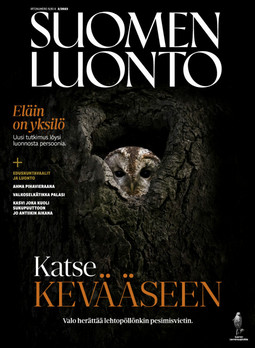 Ystävänpäivä – Luontokauppa