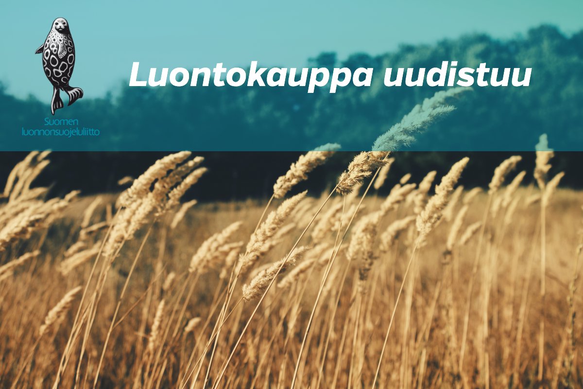 Avasimme varastomyymälän Lauttasaareen.