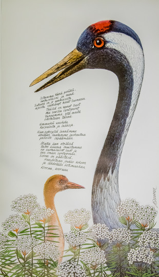 Suolla syntyneet -juliste