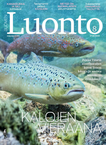 Suomen Luonto 8/2019