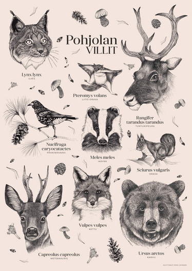 Pohjolan villit -juliste