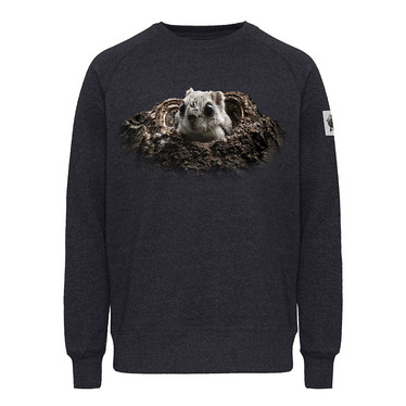 HIILI -college: Liito-orava