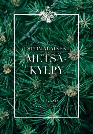 Suomalainen metsäkylpy