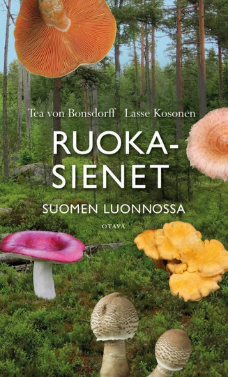 Ruokasienet Suomen luonnossa
