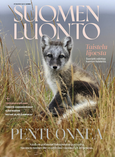 Suomen Luonto 8/2023
