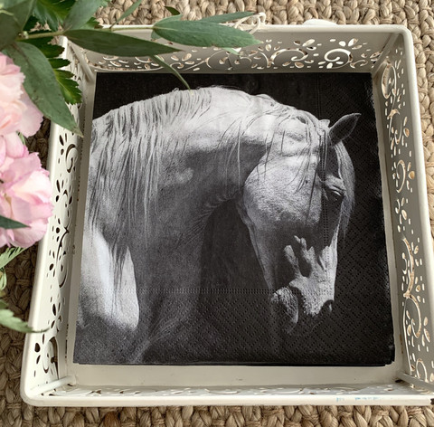 Paper napkin, horse