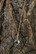 Menden horseshoe -necklace