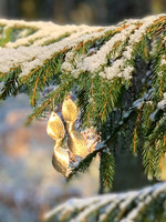 Arctic -leather earrings, big gold