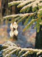 Arctic -leather earrings, big, silver