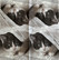 Paper napkin, cat