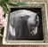 Paper napkin, horse