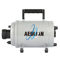 Aeolus Aeolian turkinkuivain