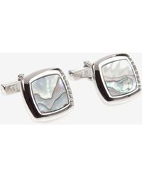 Ted Baker-  Shell, kalvosinnapit