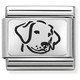 Nomination Italy- Classic,Silvershine. Koira