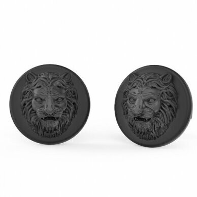 GUESS- Gents Earings, korvakorut. Teräs