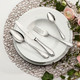 Villeroy&Boch- Mademoiselle, ruokailuvälineet 24Pcs Silver