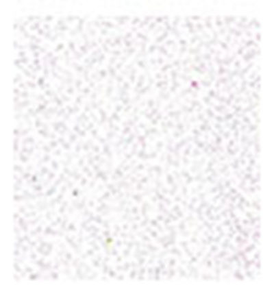 Foam, White Glitter